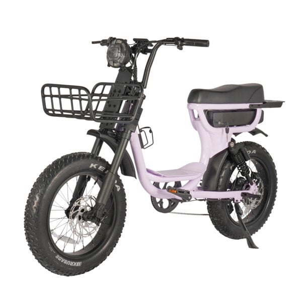 ATV07DS Customizable Full Suspension Electric Bike 20-Inch Fat Tire E-Bike with cut off mechanism at 25km/h