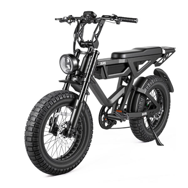 S001 Customizable Full Suspension Electric Bike 20-Inch Fat Tire E-Bike with cut off mechanism at 25km/h