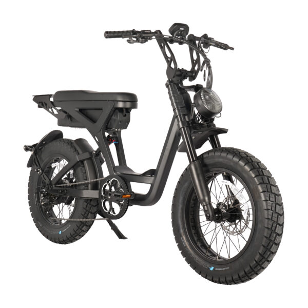 S001F Customizable Full Suspension Electric Bike 20-Inch Fat Tire E-Bike with cut off mechanism at 25km/h