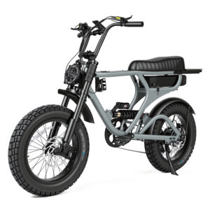 ATV08HXS Customizable Full Suspension Electric Bike 20-Inch Fat Tire E-Bike with cut off mechanism at 25km/h